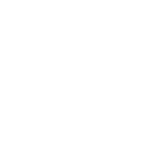 White Elusive Trailer logo with transparent background