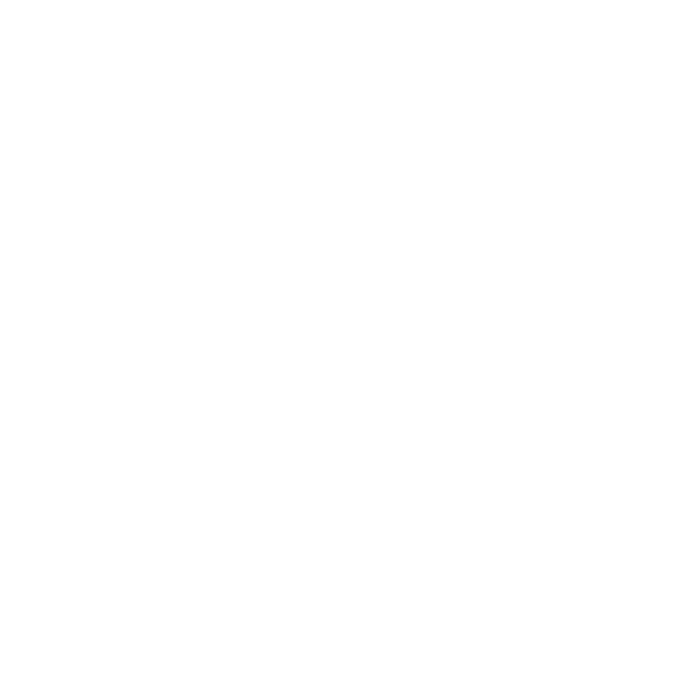 White Forge Capital Logo with transparent background