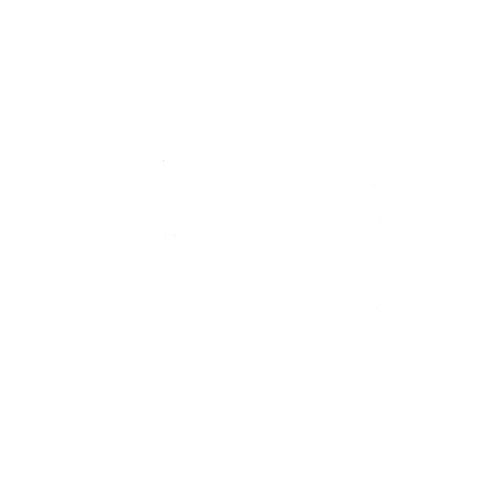 White version of the Outdoor Education Adventures logo with a transparent background