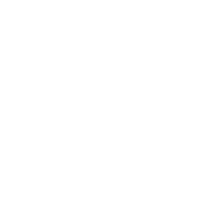 White SPIN Logo with transparent background
